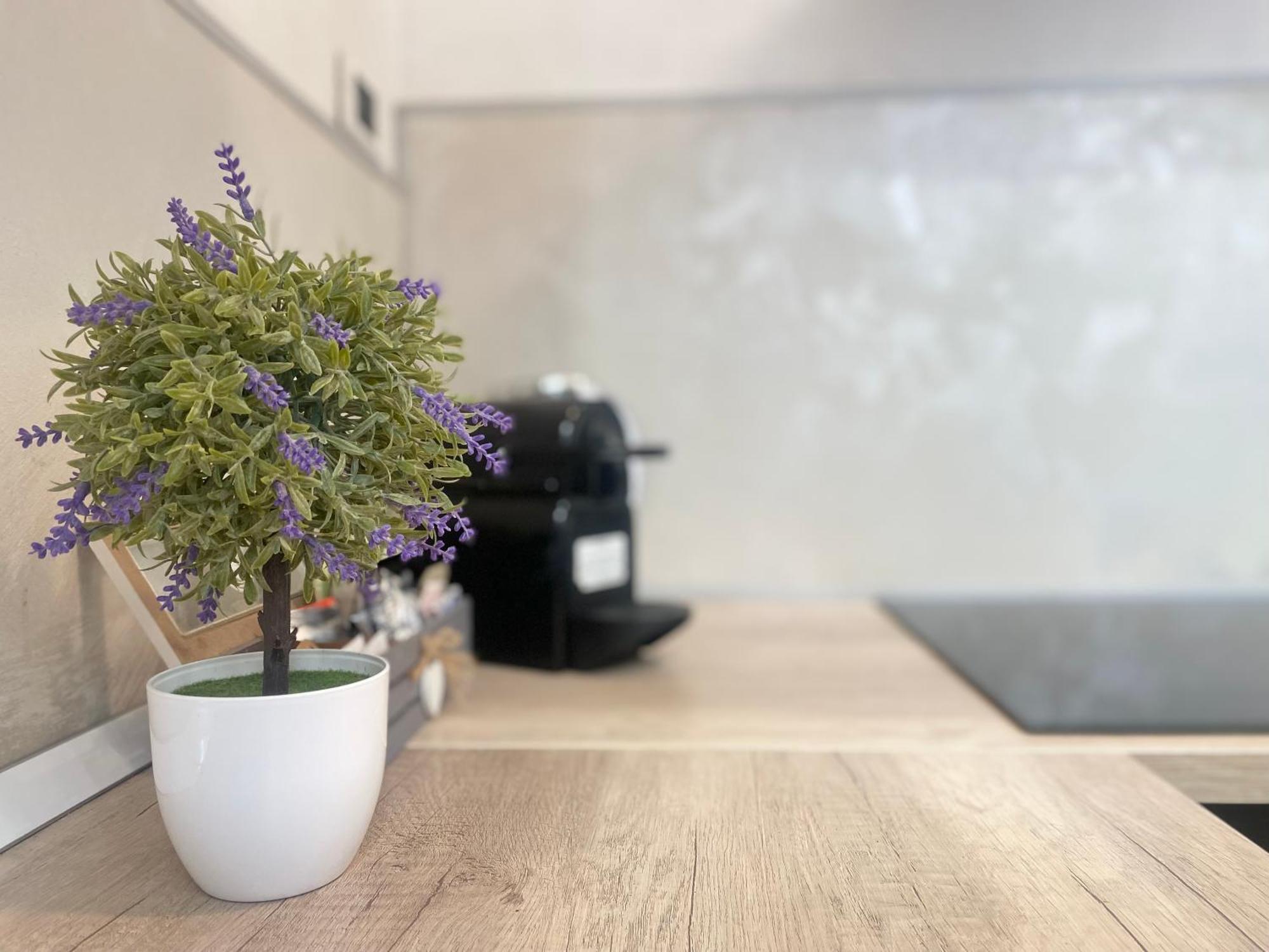 Mazzini 12 Very Central Apartment With Private Garage, Air Conditioning, Wifi, Just 50 Meters From The Beach Rapallo Zewnętrze zdjęcie